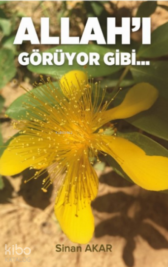 Allahı Görüyor Gibi