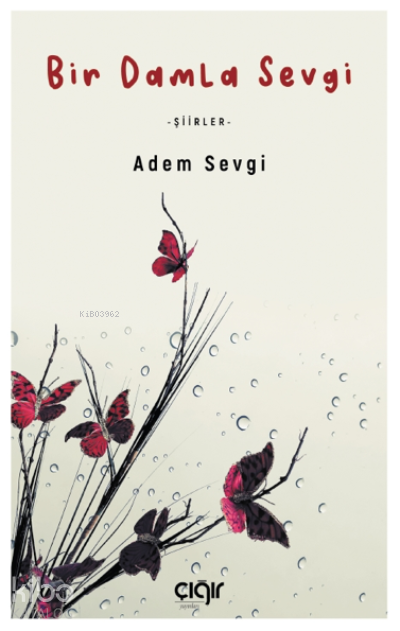 Bir Damla Sevgi - Şiirler - 1
