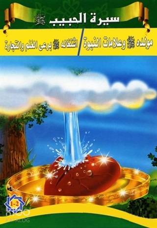 Siretül-Habib - Peygamberimizin Hayatı (5 Kitap Takım)